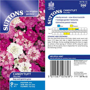 Candytuft Fairy Mix